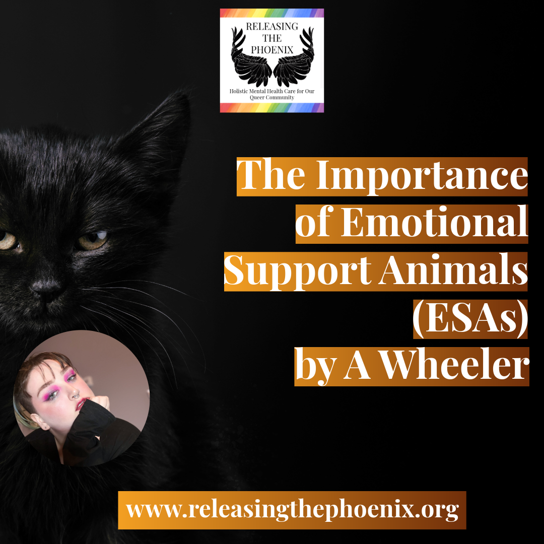 Black cat with a smaller photo of a person with pink makeup. Text promoting an event on emotional support animals by A Wheeler, with a logo at the top featuring angel wings and a rainbow-colored border.