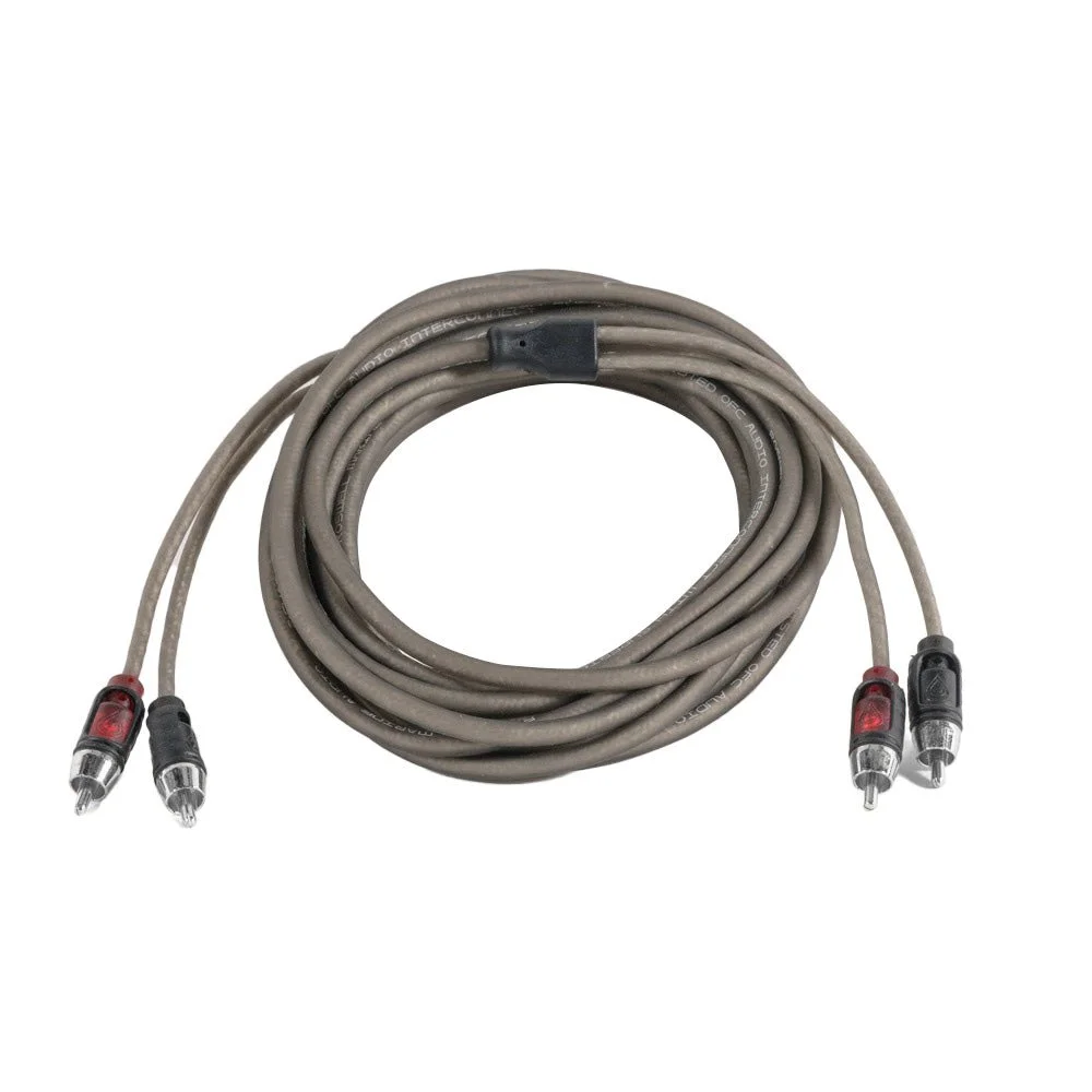 100998XL.jpg