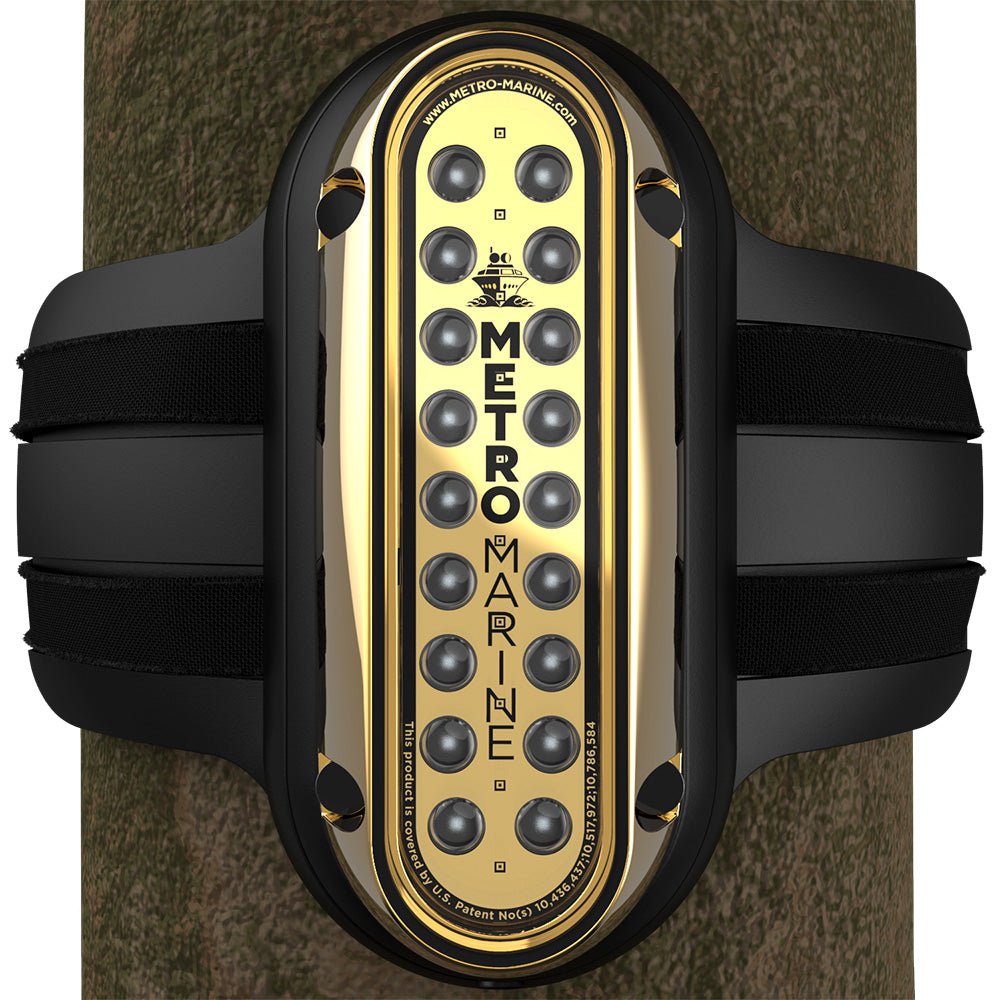 100397XL.jpg