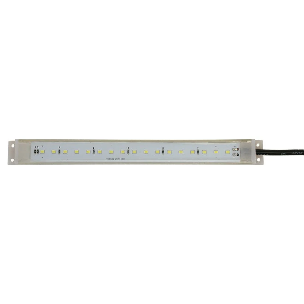 100065XL.jpg
