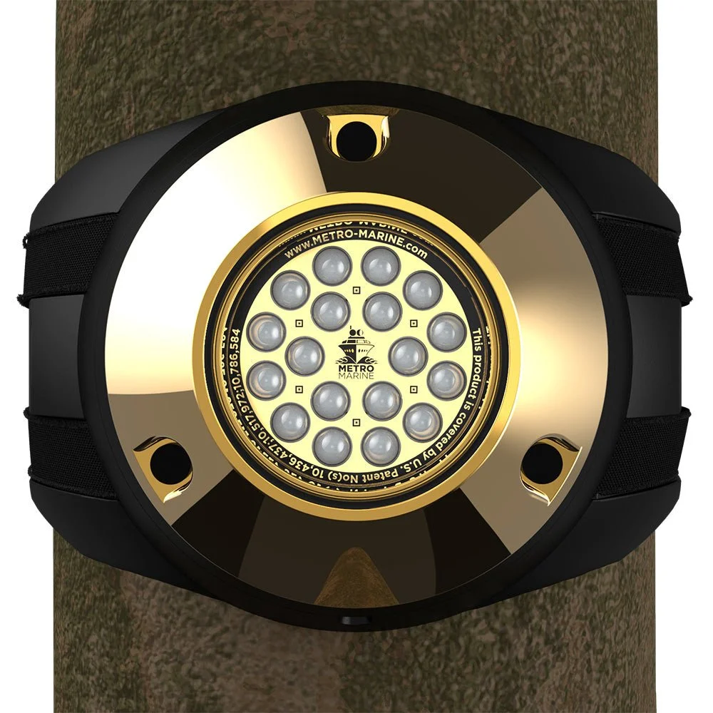 100347XL.jpg