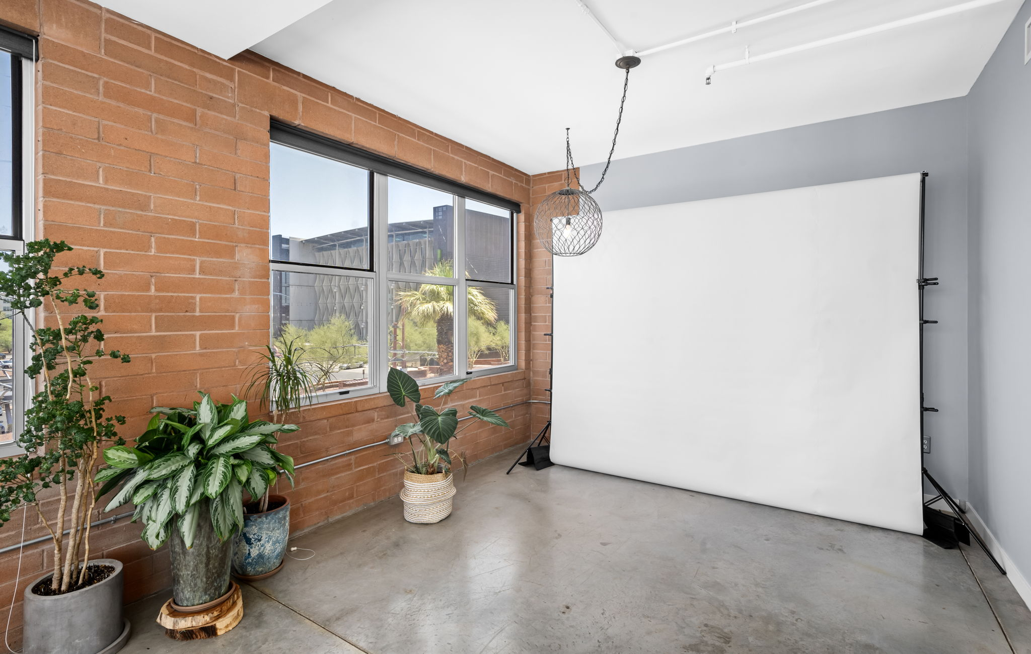 Indoor photo of a photography studio with a white backdrop, potted plants, exposed brick wall, window, and hanging light fixture.
