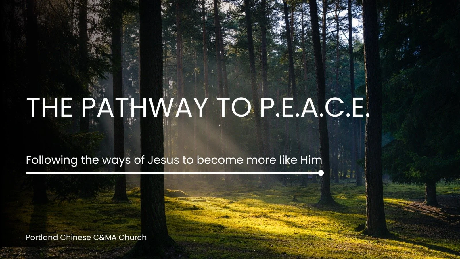 Proclaim the Kingdom