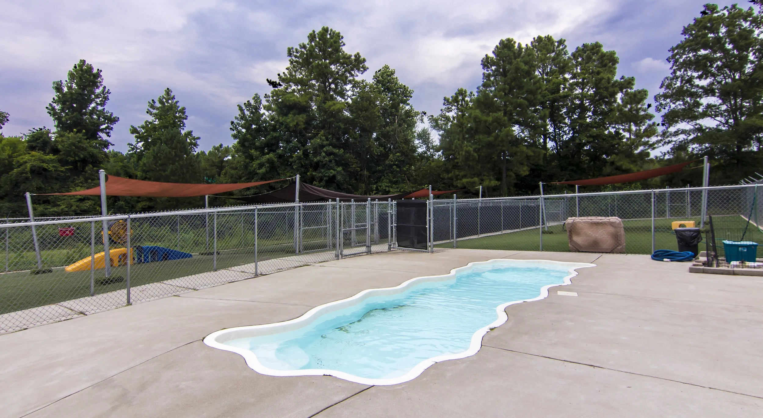 Raleigh Suite Paws Pool