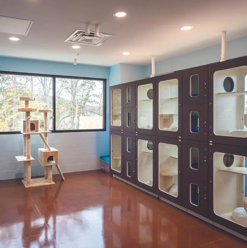 Suite Paws Pet Resort | Milford, OH Pet Care | Pet Boarding & Boarding ...
