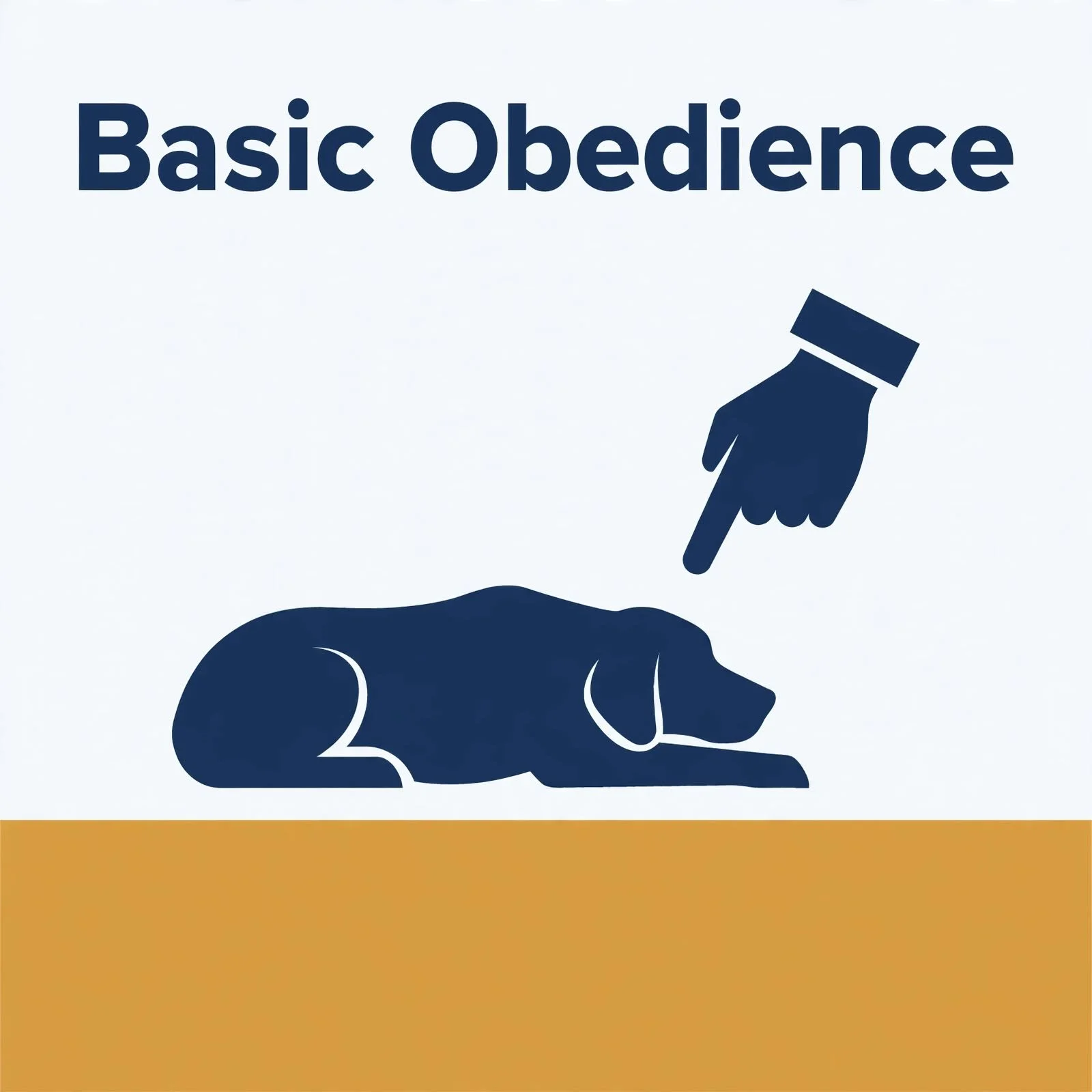 Basic Obedience Training