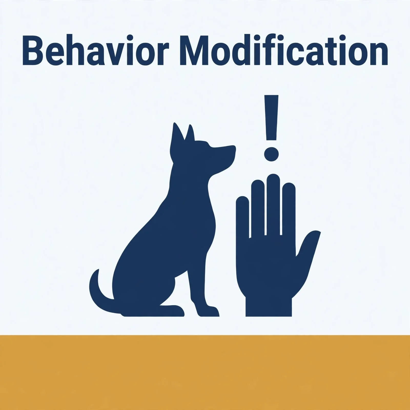 Behavior Modification