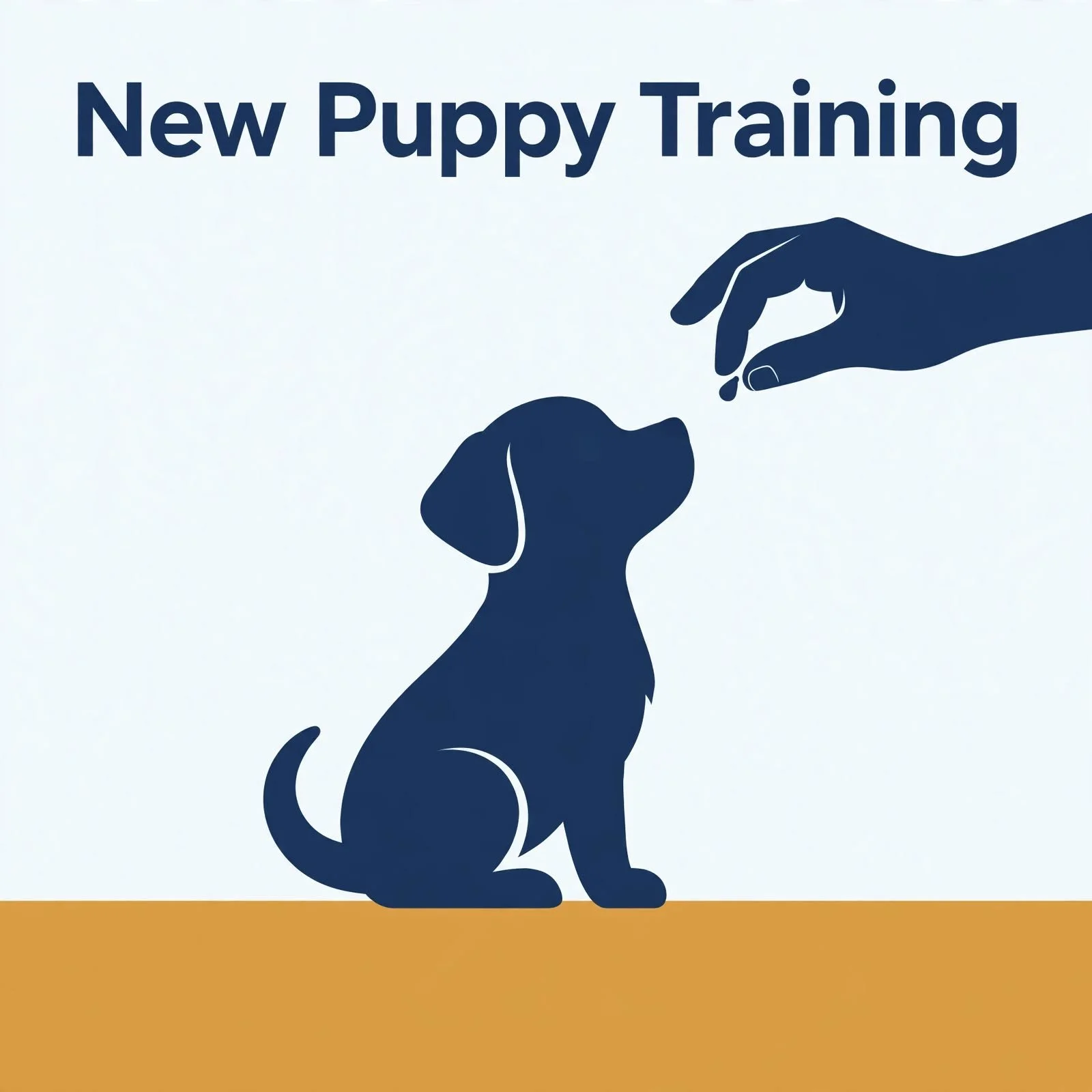 New Puppy Training