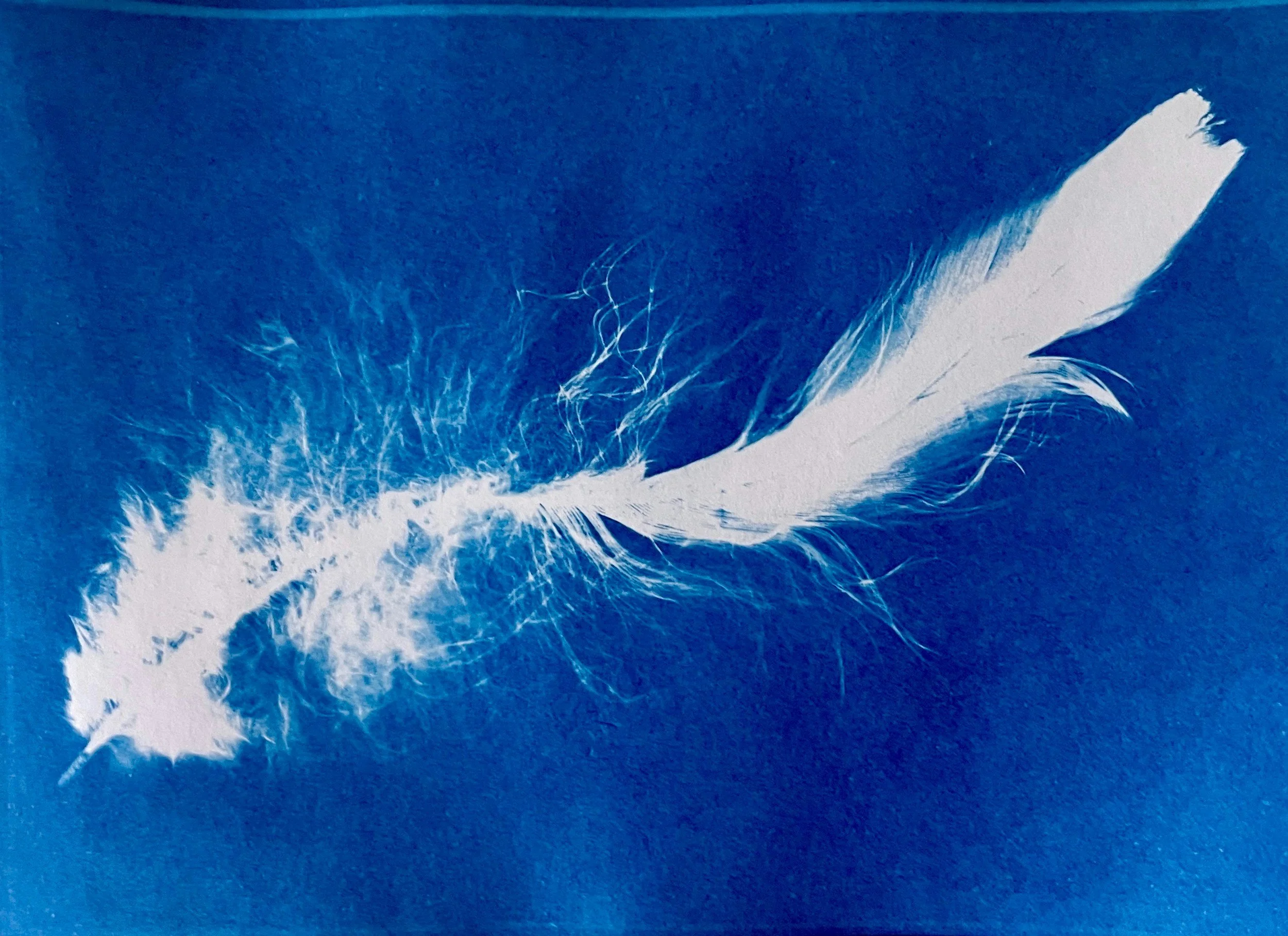 “Icarus”