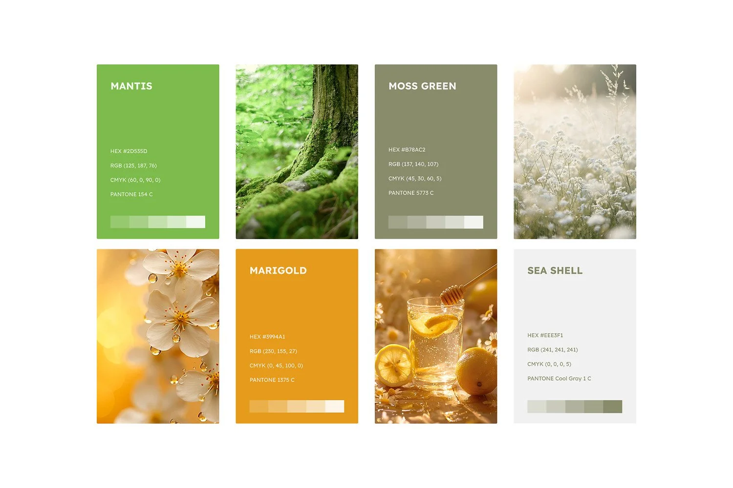 Color palette featuring natural themes: Mantis green, Moss green, Marigold orange, Sea Shell white with corresponding images of mossy trees, white flowers, and a glass of lemonade with lemons and honey.