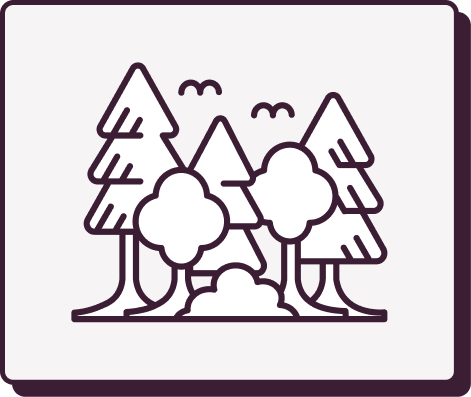 Line drawing of a forest with trees and birds flying above.