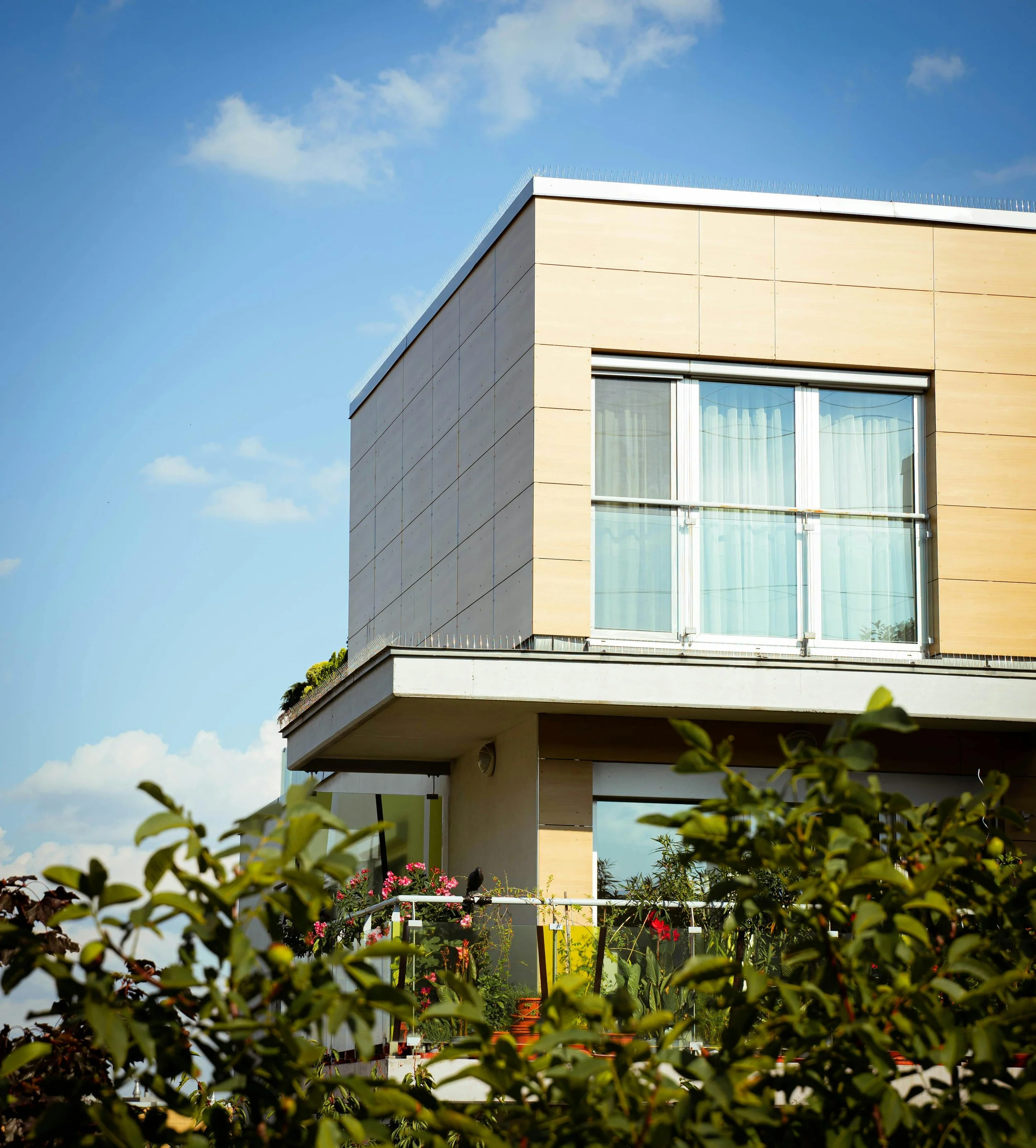 371880152-18423197 (1).jpg