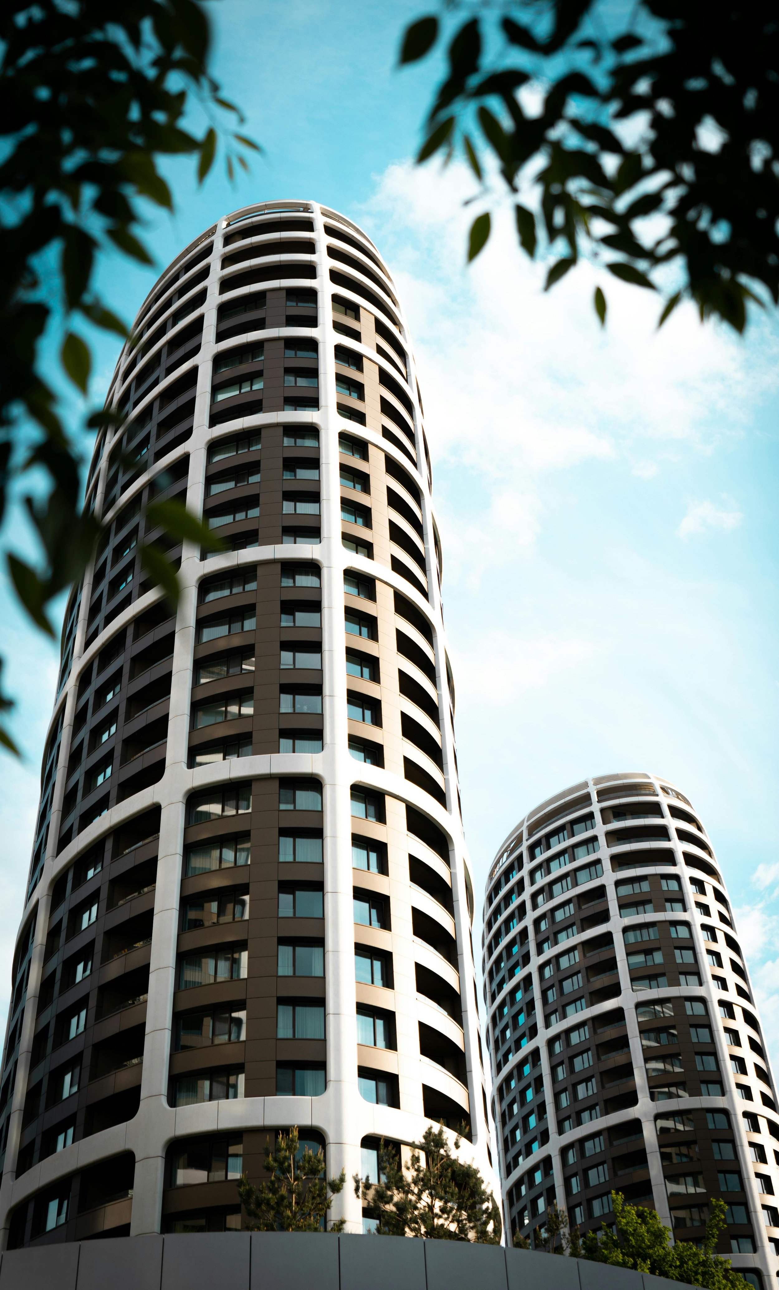 371880152-16786423 (2).jpg