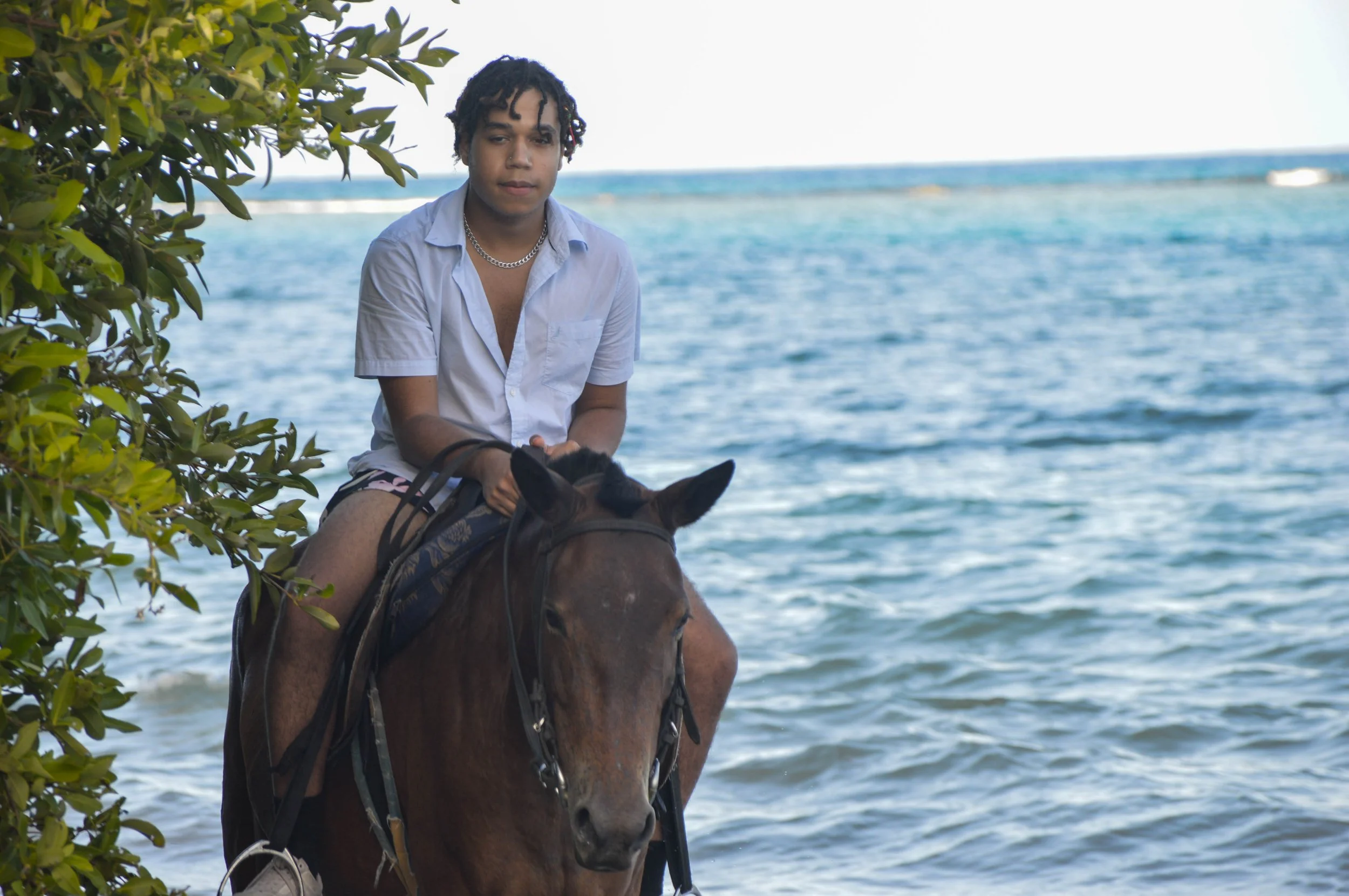 A young man with dark curly hair riding a brown horse along a shoreline with water and a ledge in the background, partially shaded by green leaves.