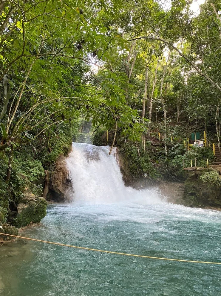 A waterfall flowing into a natural pool surrounded by lush green trees.