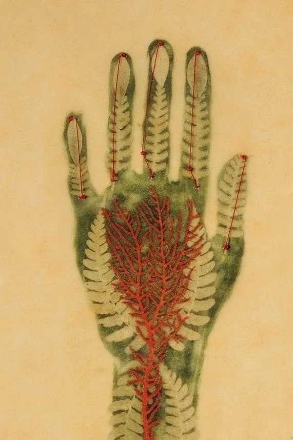 Discovery Call - 30 minutes