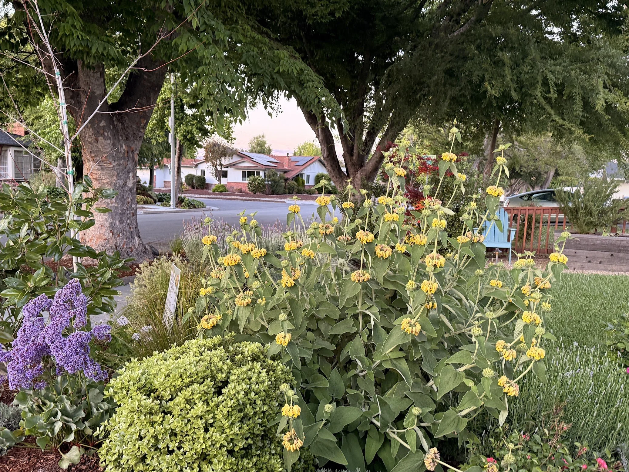 Spring Garden, Meadow House