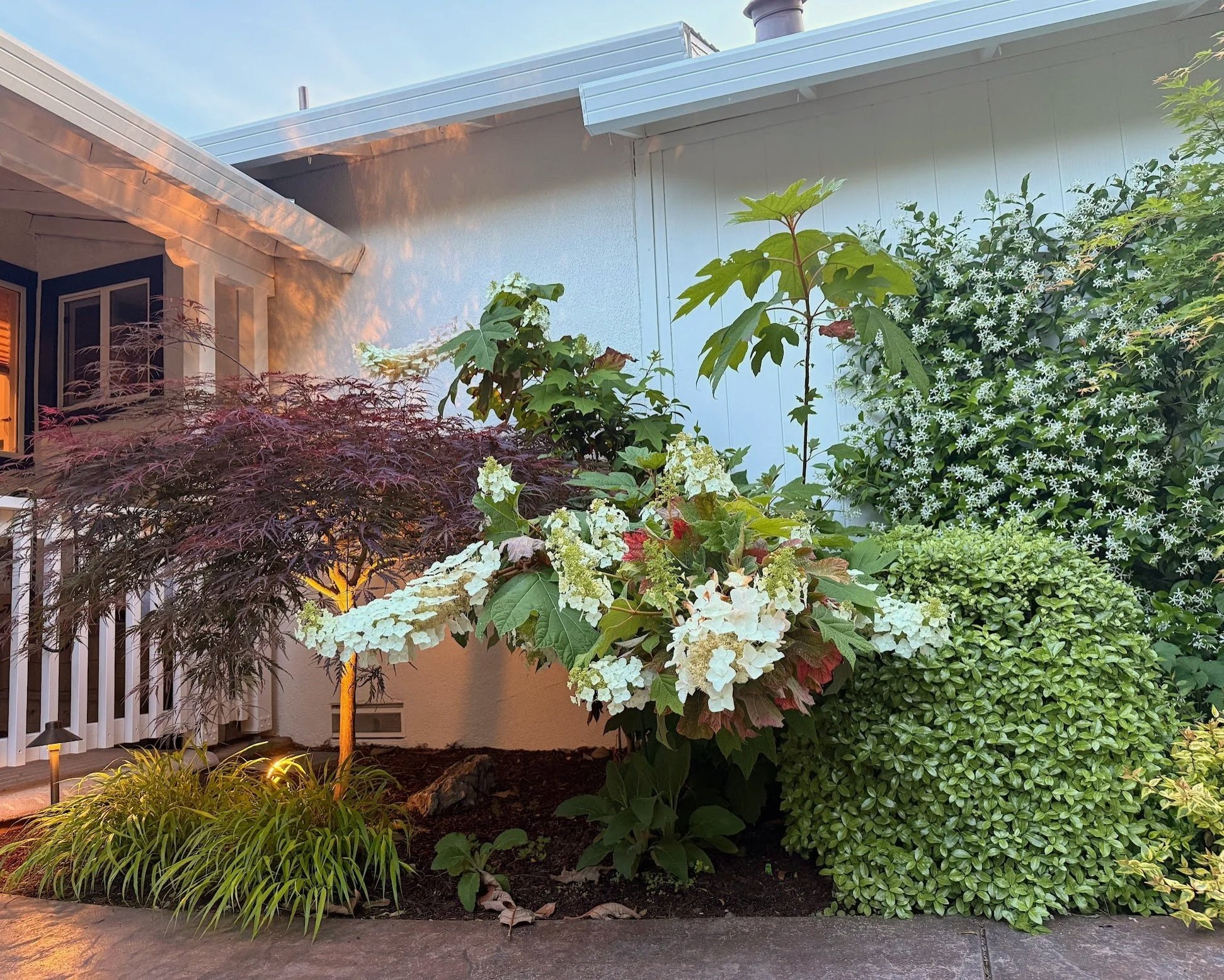 Spring Garden, Meadow House