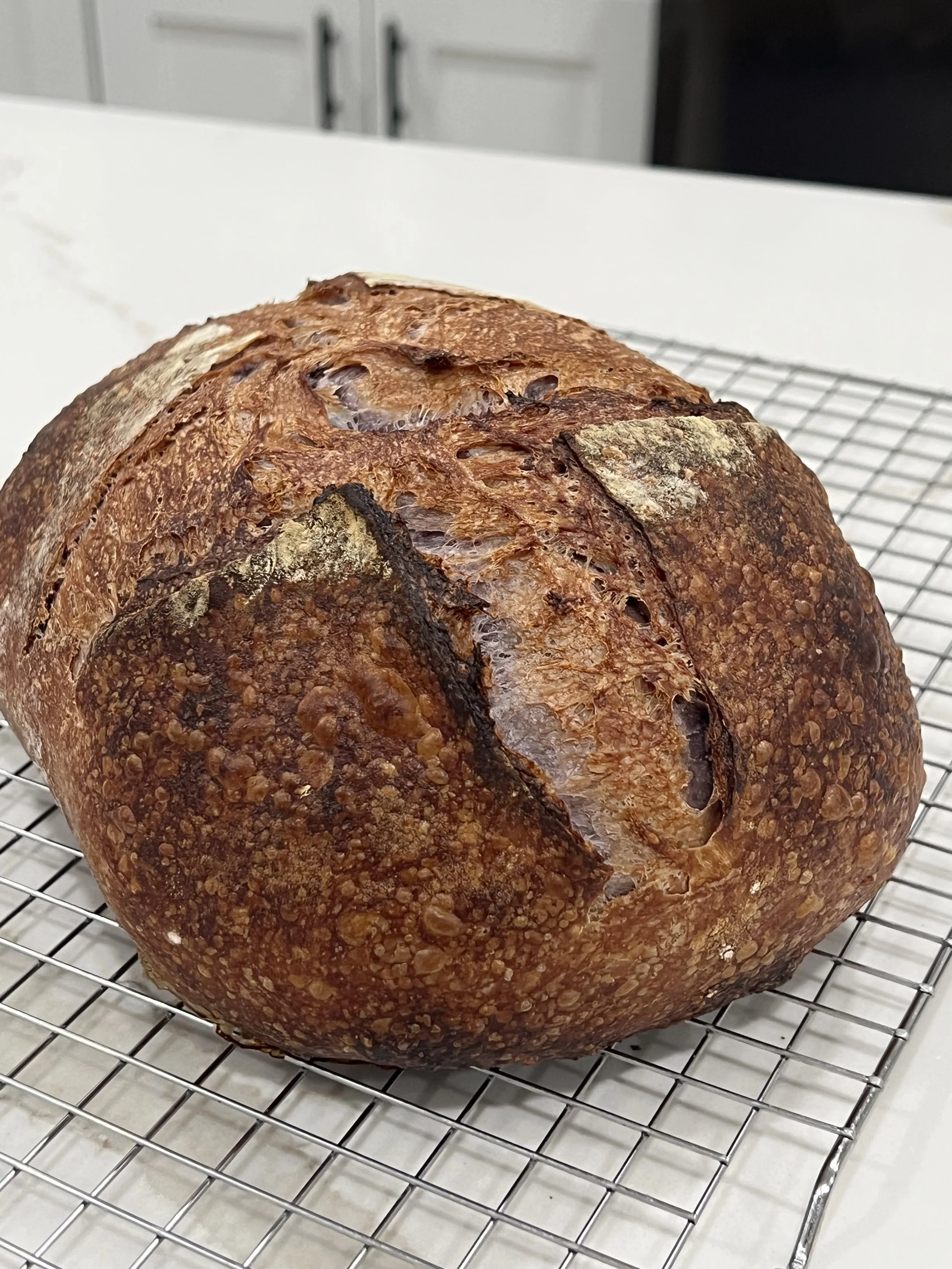 Blue Corn Masa Sourdough