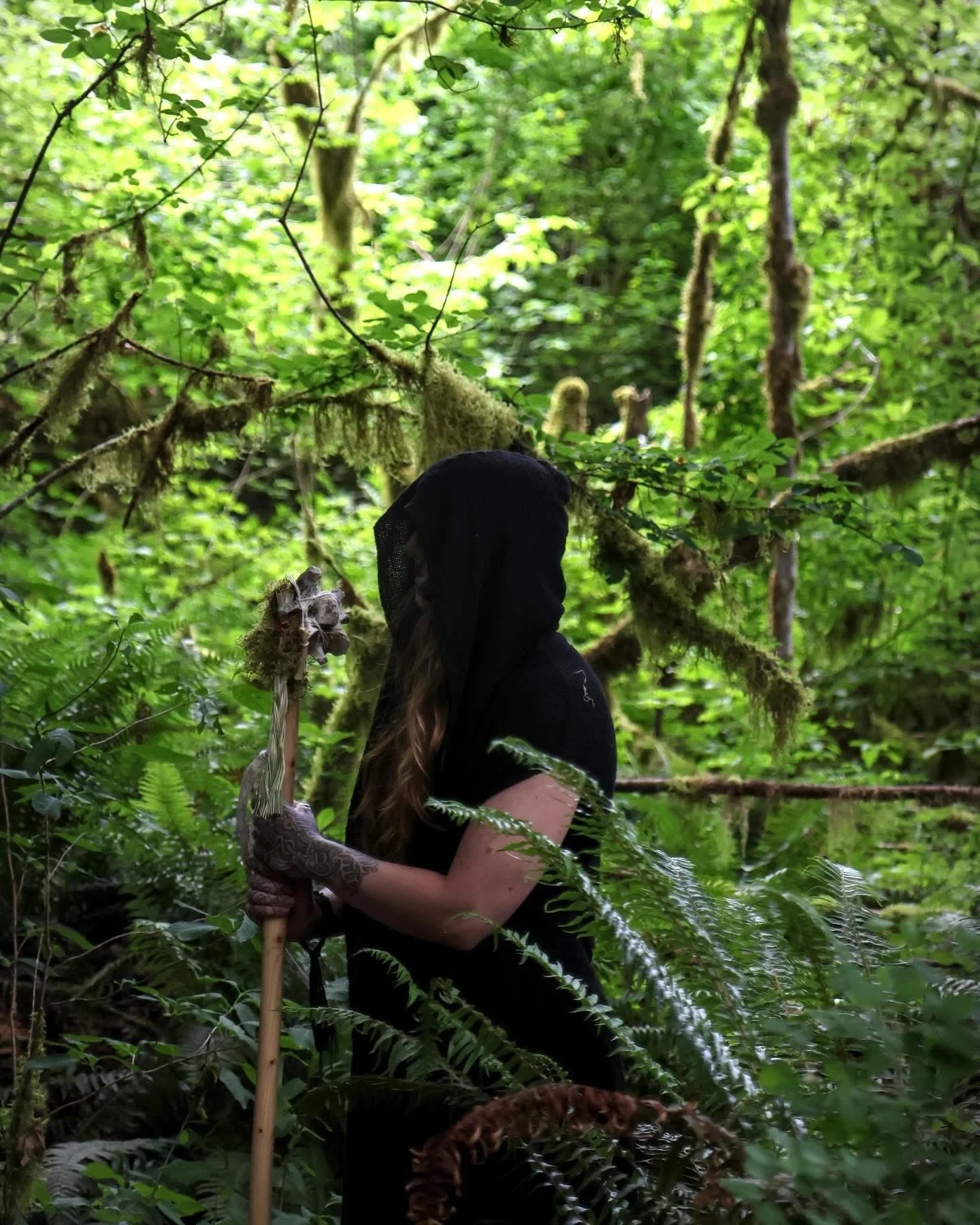 I am a researcher storyteller writer exploring cultural hybridity Viking Age in Great Britain Ireland Scotland French philosophy romanticism norse Celtic myth animism eddic poetry mabinogi reciporocity Gaelic Scandinavian Havamal goddess protection