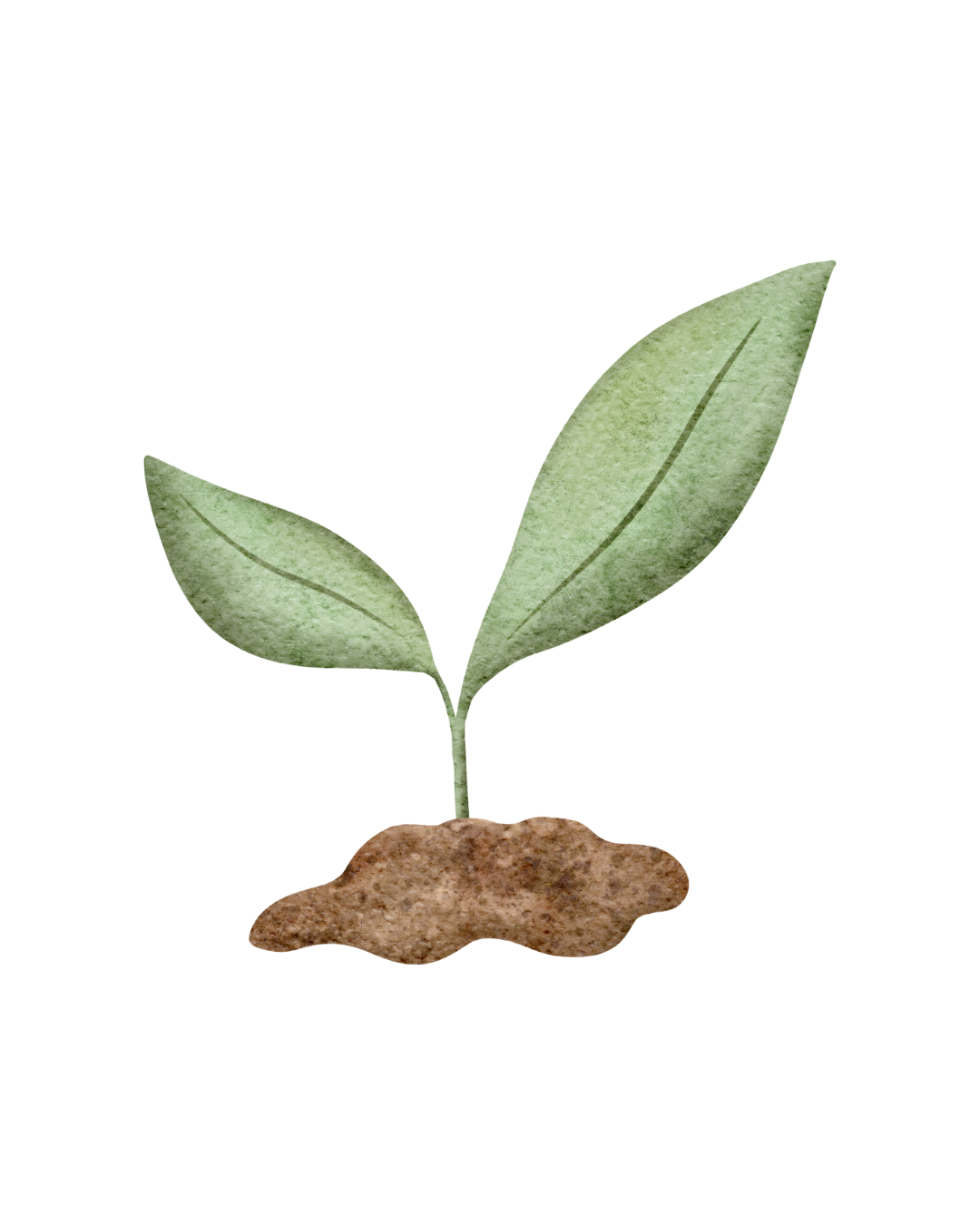 Illustration of a small green plant with two leaves growing from soil.
