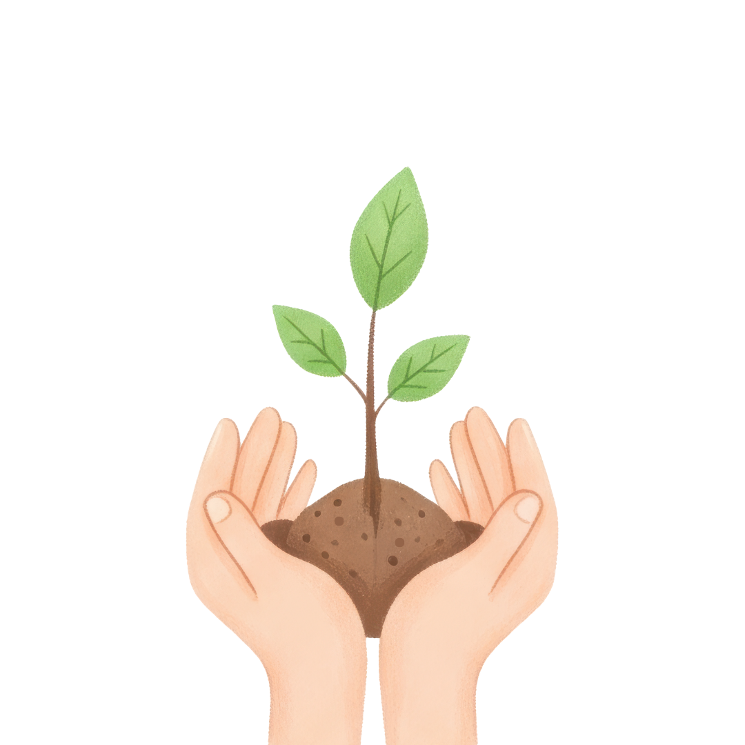 Two hands holding soil with a small green plant sprouting.