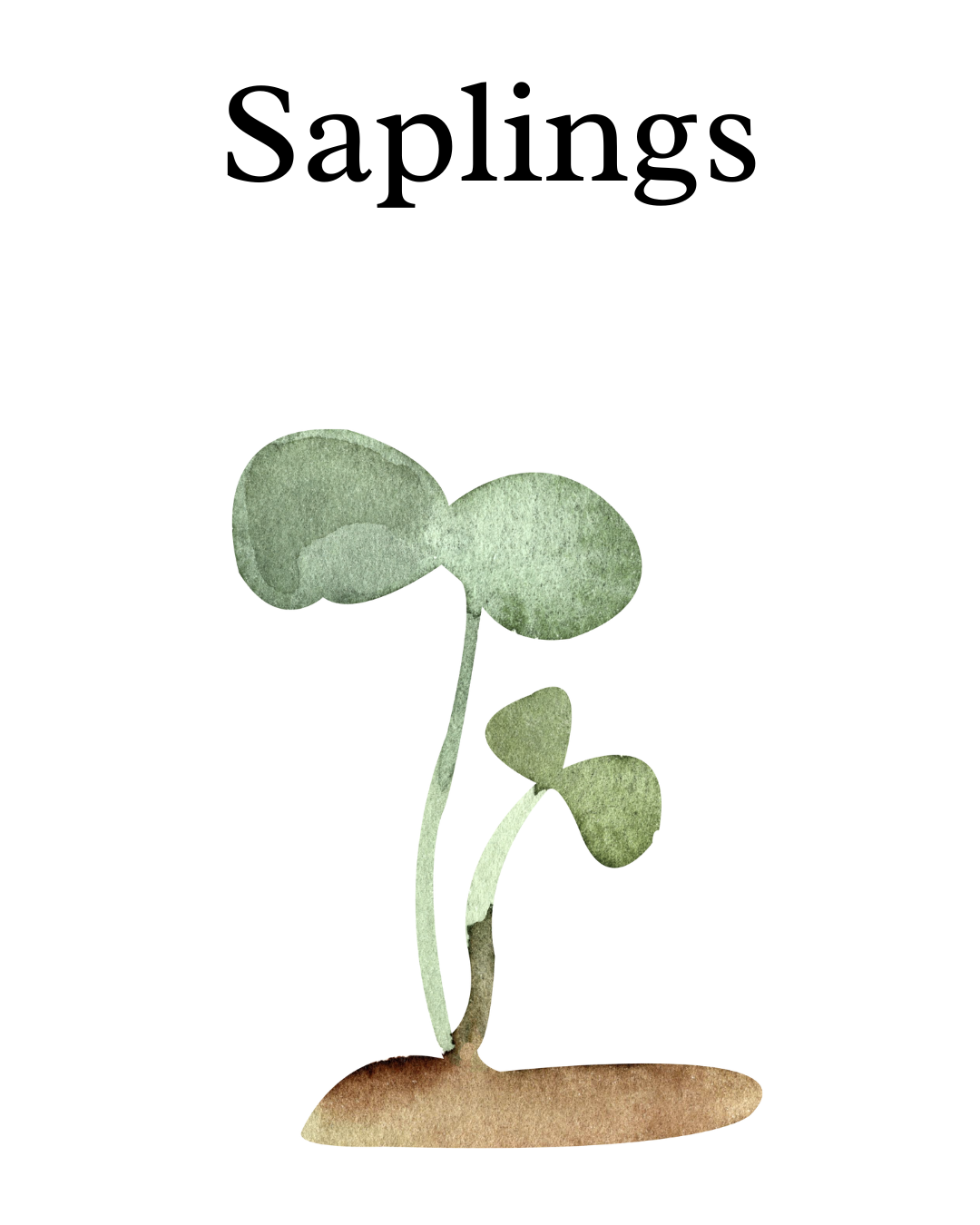 Watercolor illustration of a small green sprouting plant with two round leaves on a thin stem, growing from brown soil.