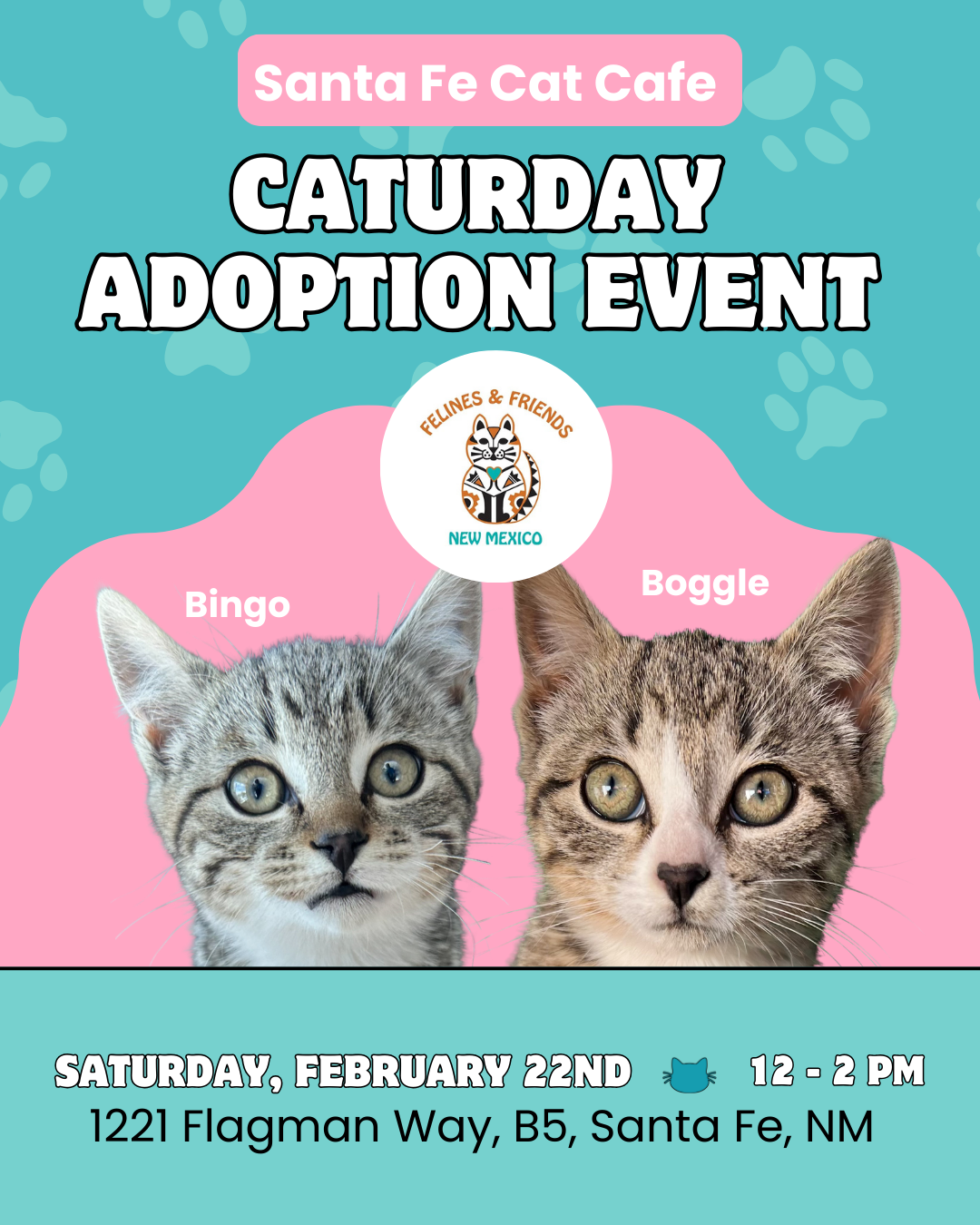 Caturday Adoption Event