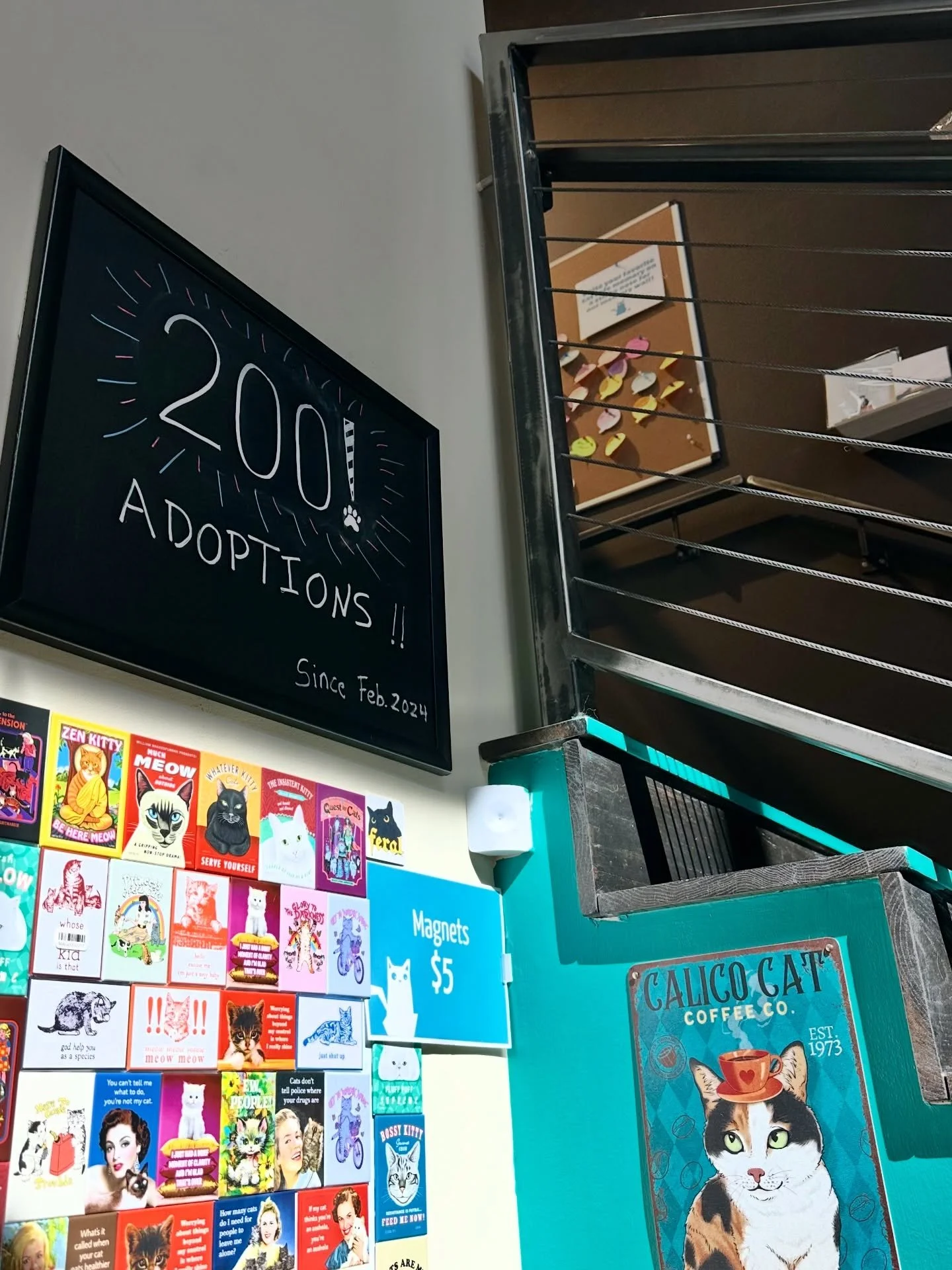 200 adoptions and counting 🥳💙🐾

Since February 2024, 200 cats have found their forever homes through the Santa Fe Cat Cafe! That&rsquo;s 200 second chances for cats across Northern New Mexico 🙌

Thank you to every adopter, foster, volunteer, and 