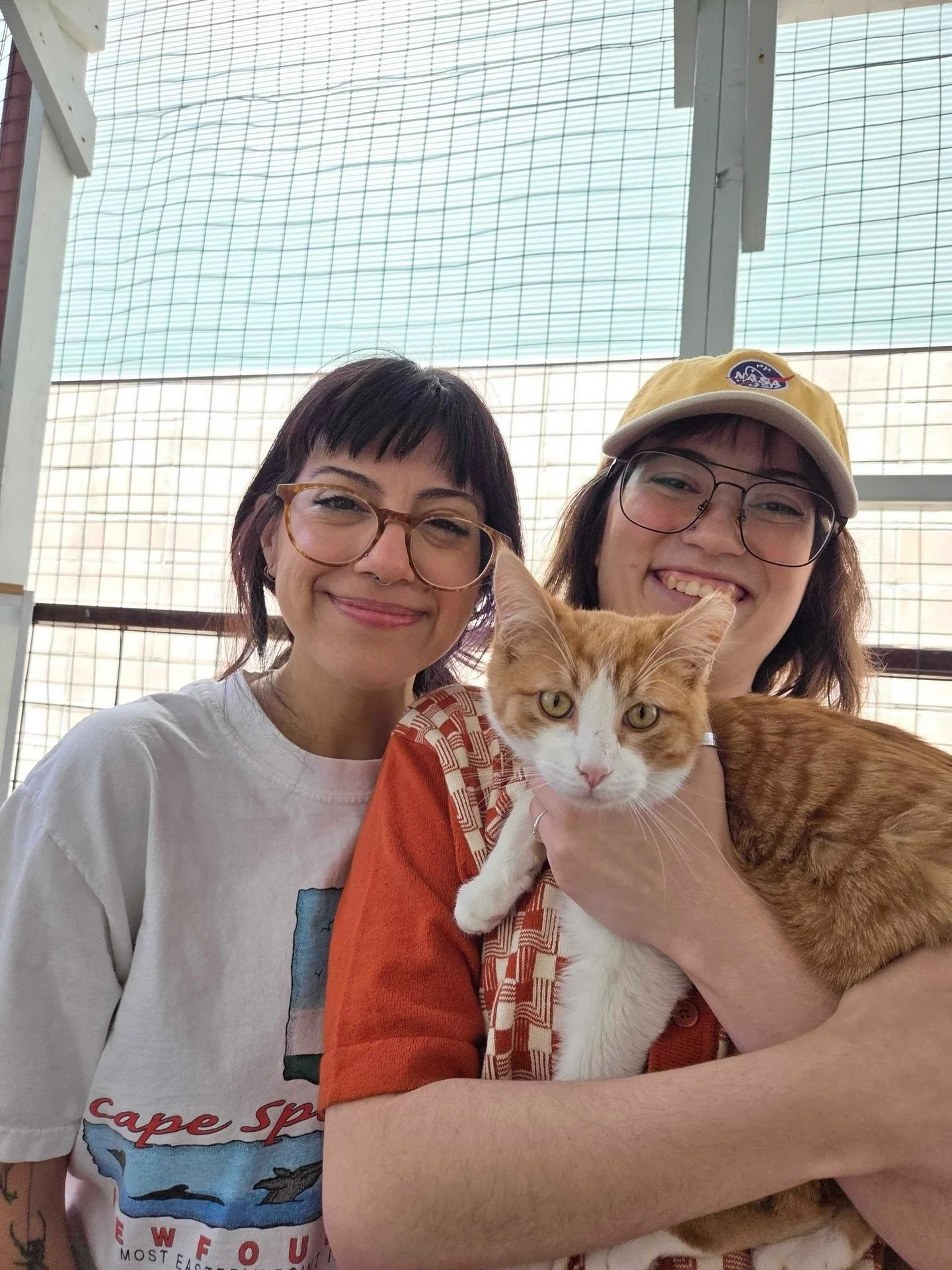 Recent @9livesrescuenm adoptions 💙🐱

Harry, Clover, and Ivory all found their way home 🐾

Three more cats onto their next chapter, and we couldn&rsquo;t love to see it more! Thanks to everyone who makes these moments possible 😻