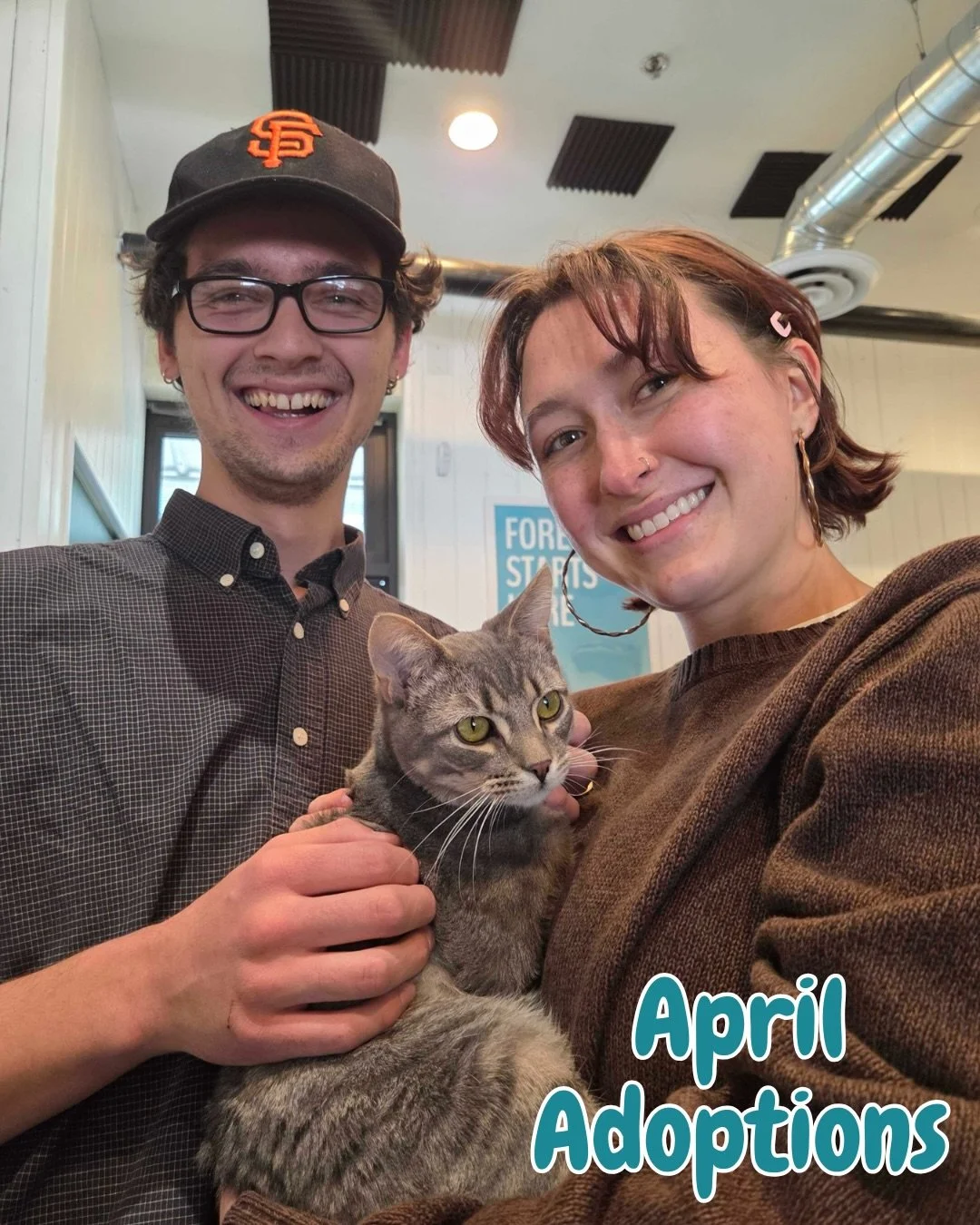 April adoptions at the Santa Fe Cat Cafe 🐾💙

So many cats found their forever homes this month through @9livesrescuenm and @fandfnm 🎉

Every adoption helps create space for more cats in need while giving these kitties the loving homes they deserve
