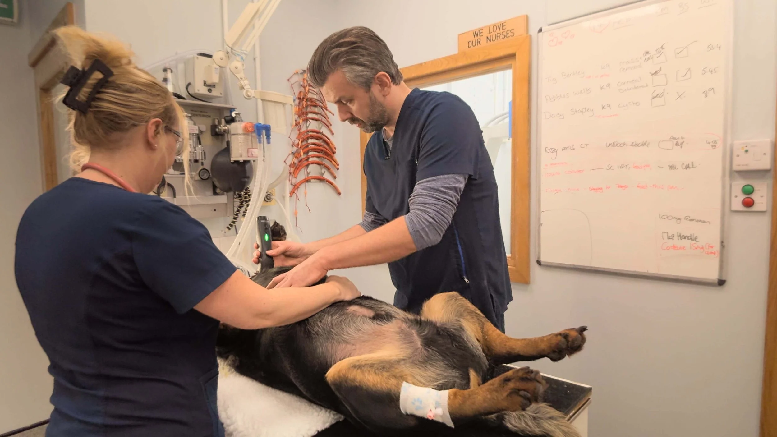 Veterinarian and veterinary technician examining a dog lying on an examination table in a veterinary clinic.