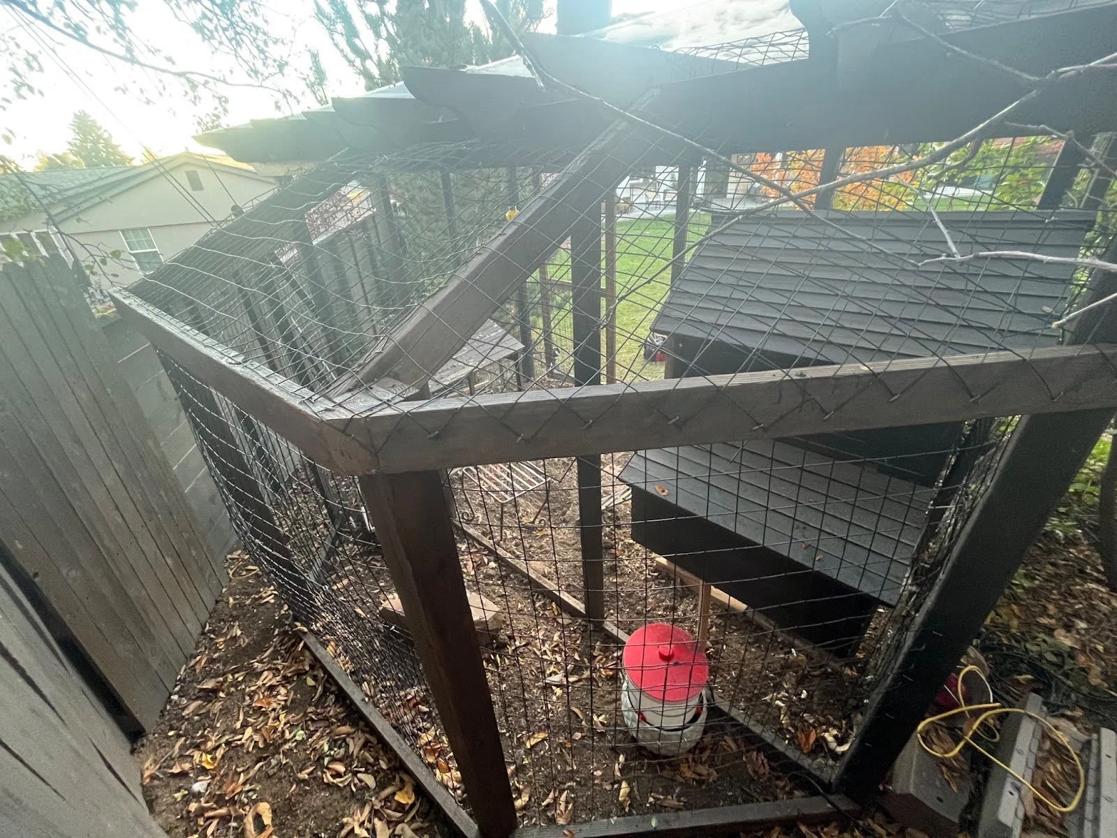 Chicken Coop 8.jpg
