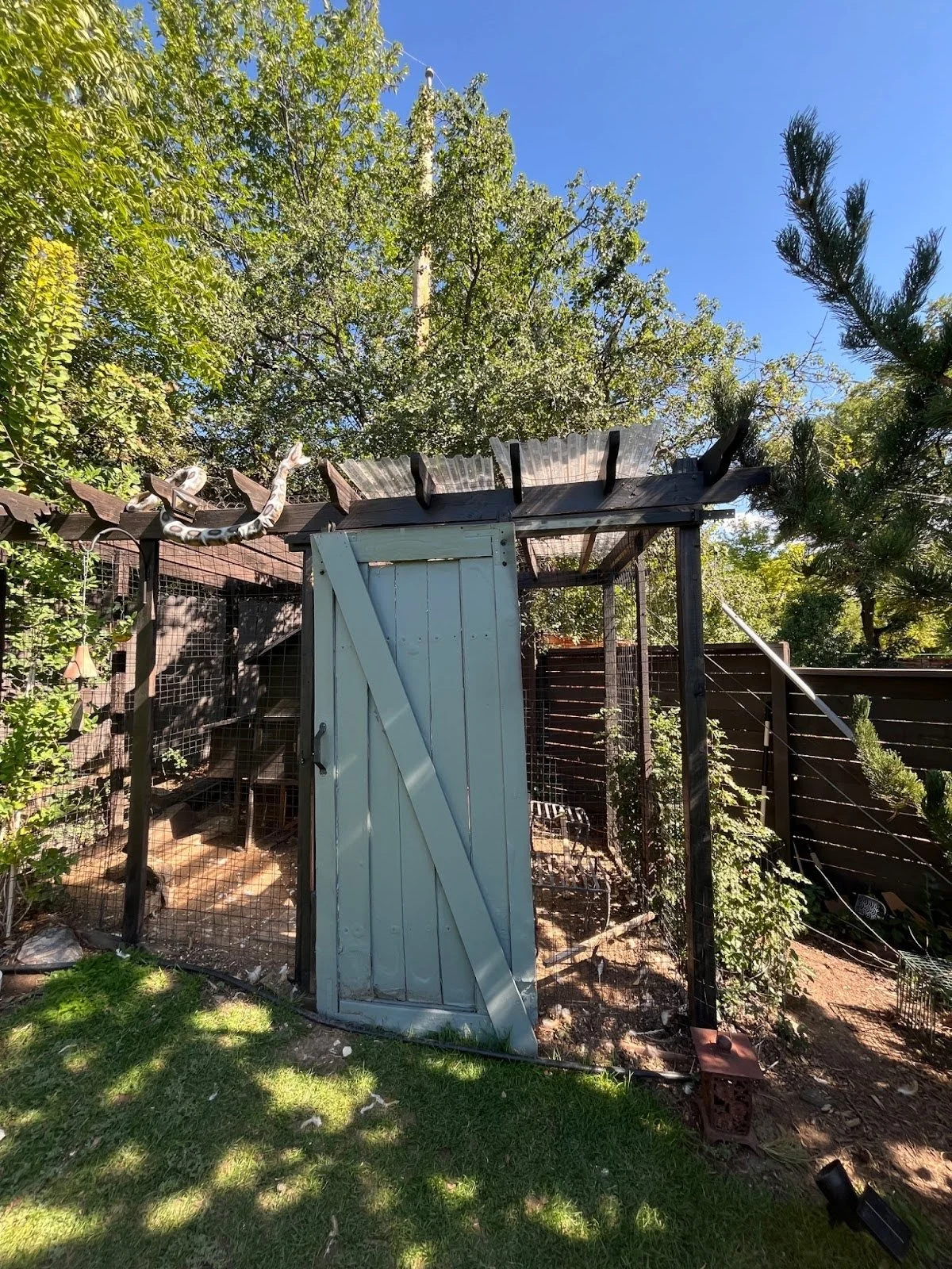 Chicken Coop Expansion and Improvement