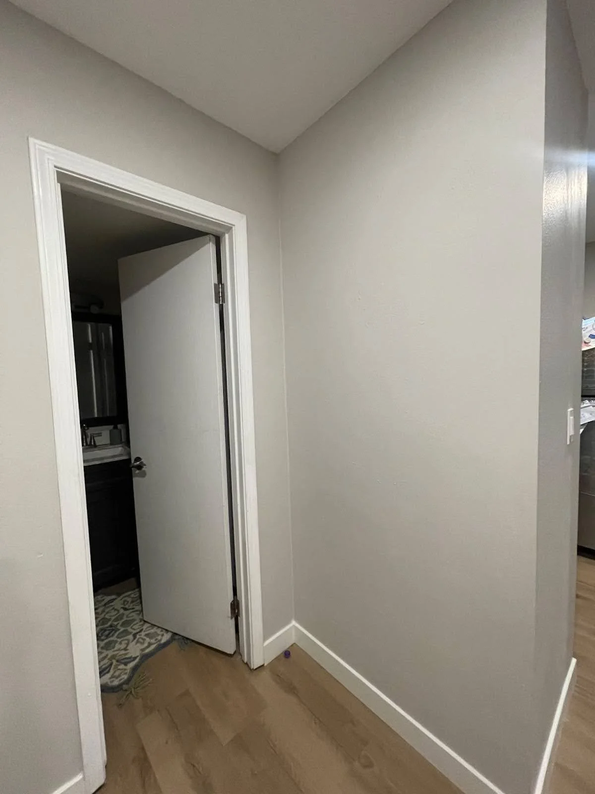 Closet Renovation 9.jpg