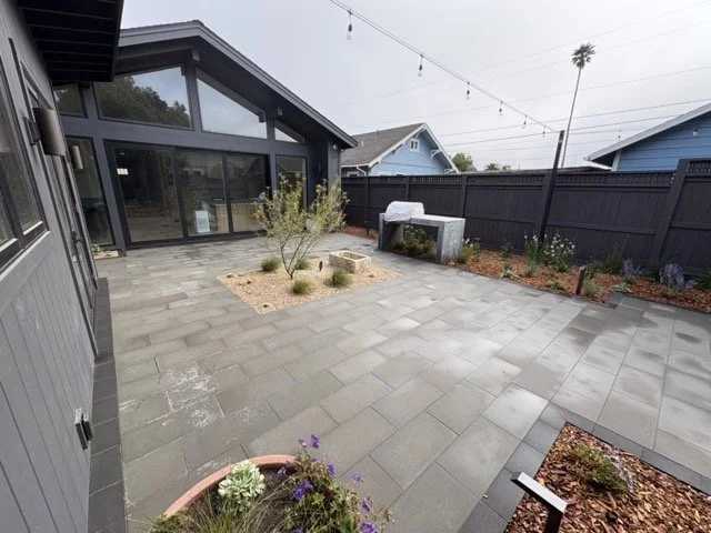 IMG_0807 Medium.jpeg