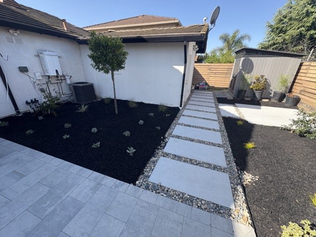 IMG_0250 Medium.jpeg