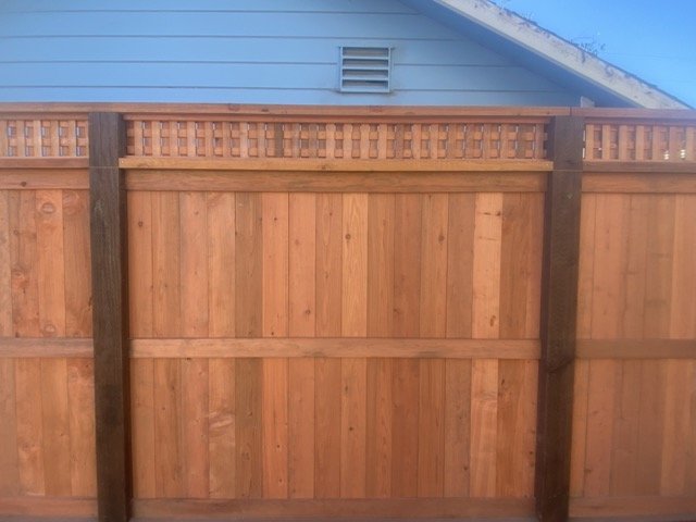 IMG_1604 Medium.jpeg