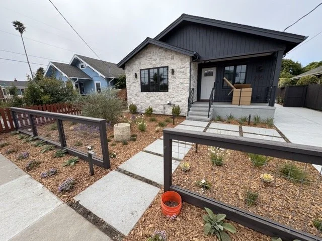 IMG_0810 Medium.jpeg