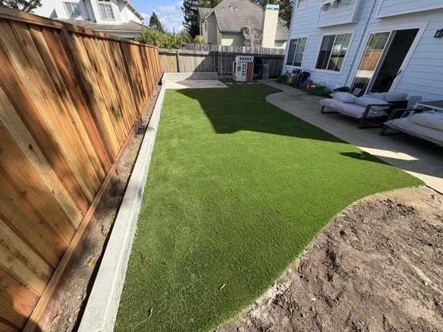 IMG_0223 Medium.jpeg