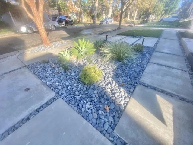 IMG_1222 Medium.jpeg