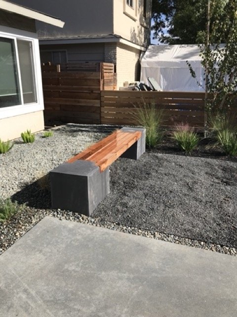 IMG_1307 Medium.jpeg