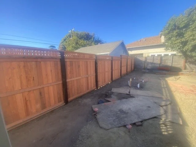 IMG_1607 Medium.jpeg