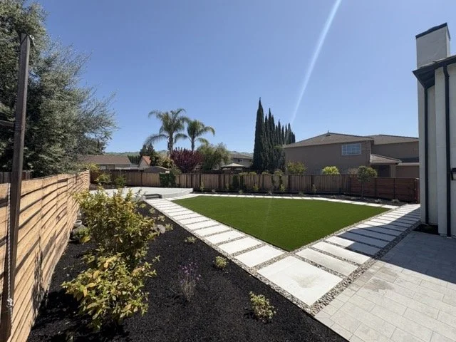 IMG_0283 Medium.jpeg