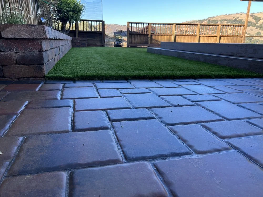masry and lawn.jpg