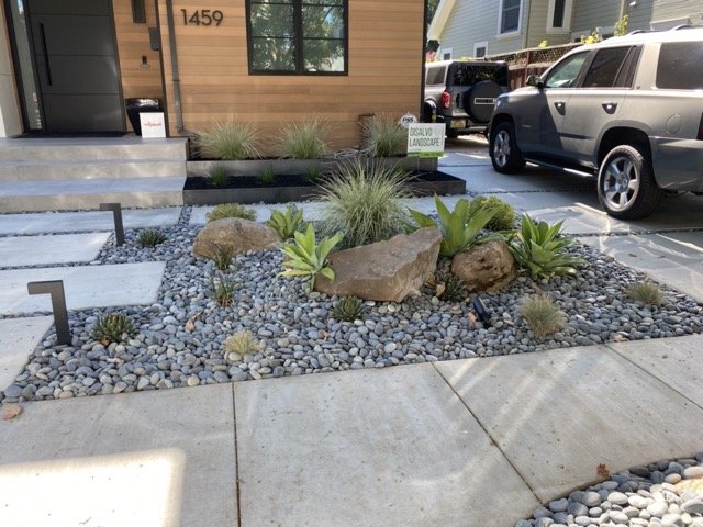 IMG_1225 Medium.jpeg