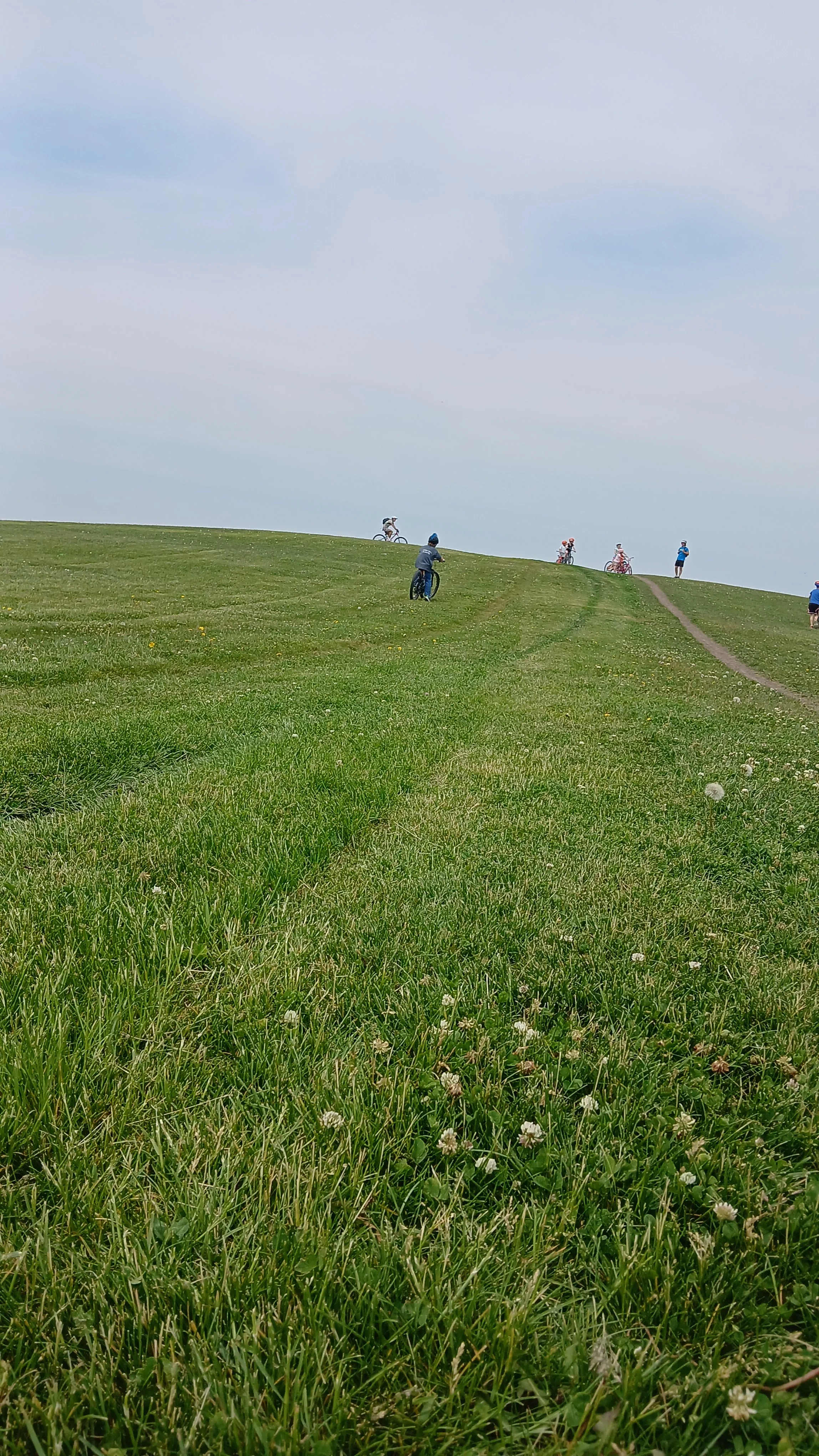 A picture of a kids biking camp biking up a hill on a nice spring day