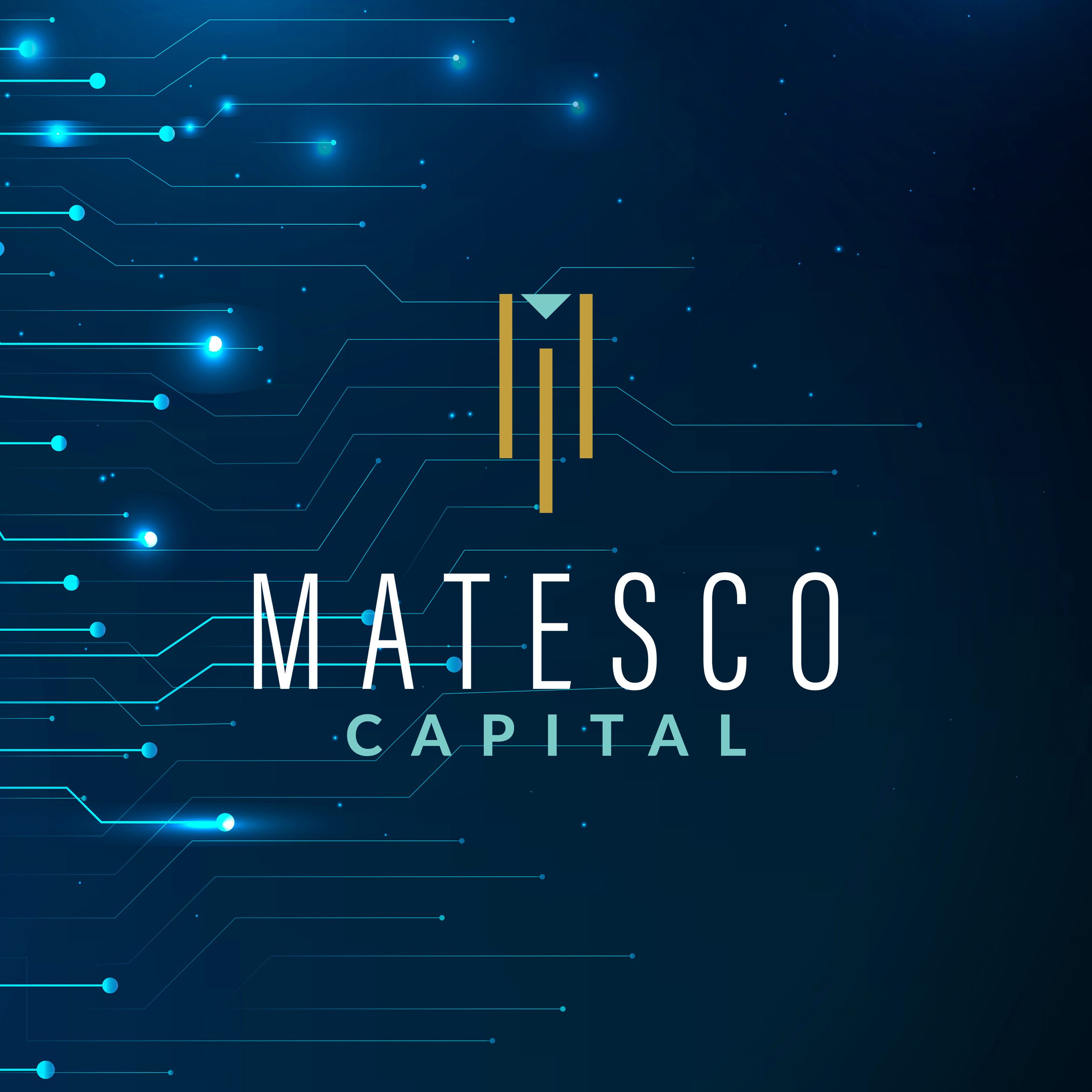 logomarca para plataforma de conexao de pessoas