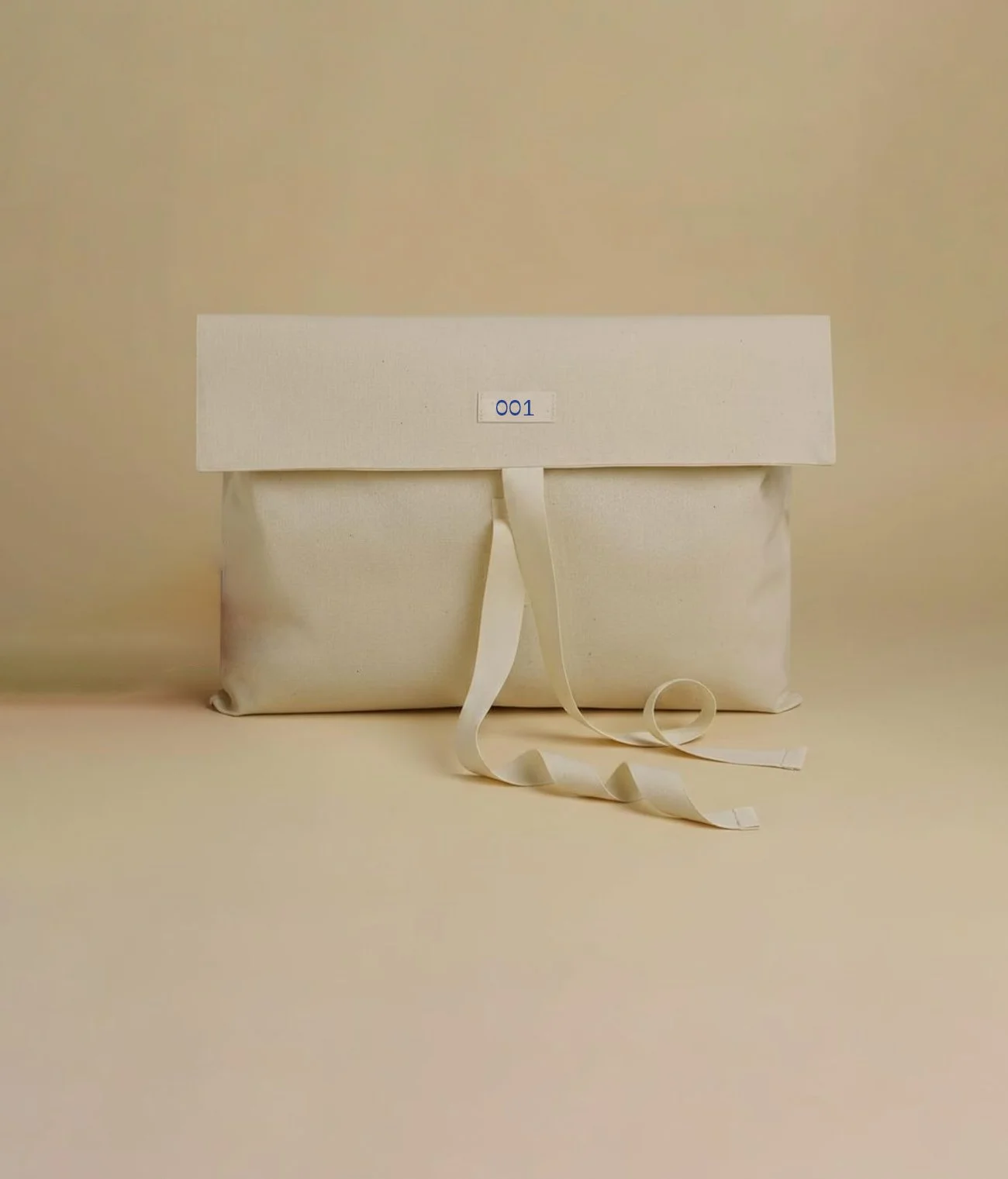 Canvas Envelope 001.jpg