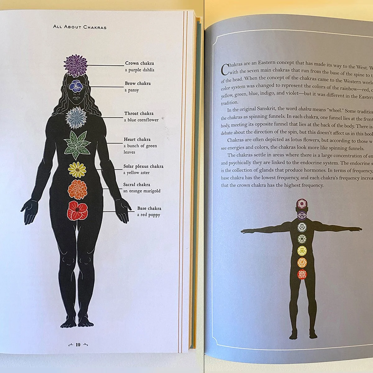 woman and man silhouettes with chakra symbols, illustrated by Terry Marks
